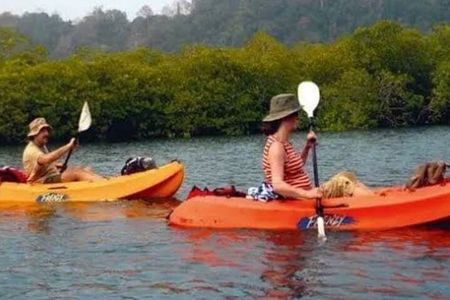 Mangroves Kayaking At Havelock