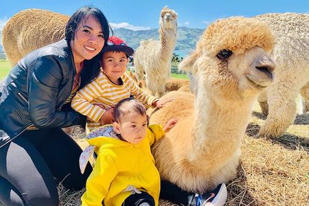 Shamarra Alpaca Farm Tours