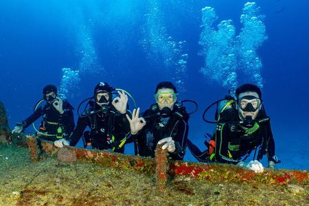 Learn diving with the Open Water course PADI ! 