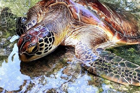 Salaam Cave, Prison Island, Secret Garden, Stone Town, Kuza Cave