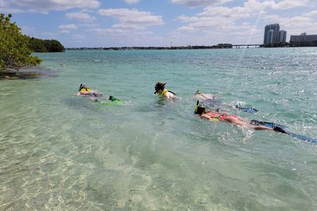 Beginner Friendly Island Snorkeling