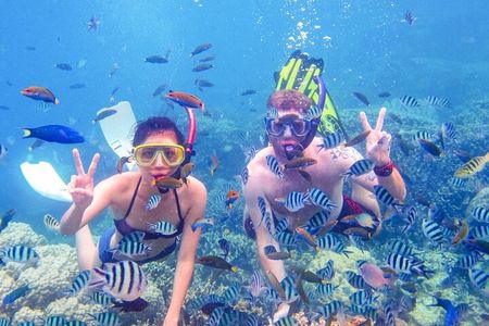 Da Nang/Hoi An: Cham Island Snorkeling, Sunbathing, Nice Beaches