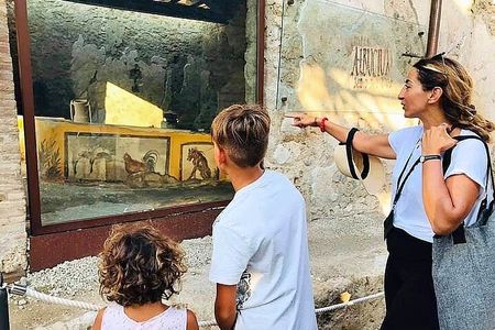 Pompeii Private Walking Tour with Expert and Authorized Guide