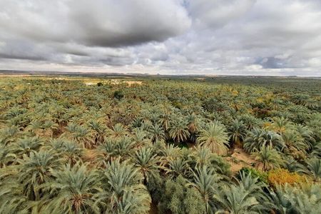 Cairo day tour to El Fayoum