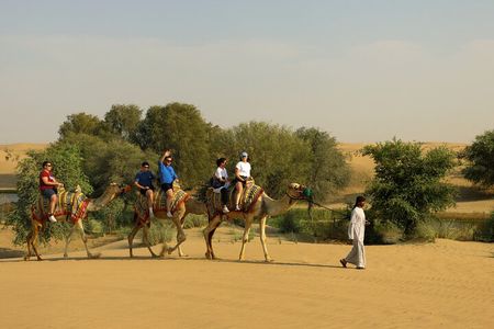 Dubai: Camel Caravan, Bedouin Breakfast with Al Marmoom Oasis 