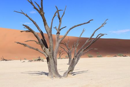 5-Day Sossusvlei & Sandwich Harbour Photography Tour
