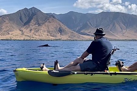 Whale Watch and Scenic Tour from Kayak