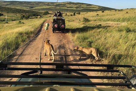 3 Days Private Tour at Masai Mara National Reserve