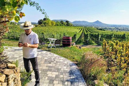 Lake Balaton private wine tasting and sightseeing from Budapest 