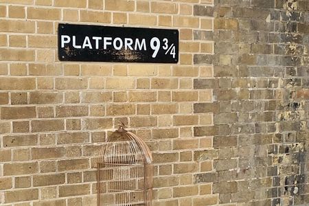 Harry Potter Black Taxi Private Tour of London with Hotel Pickup