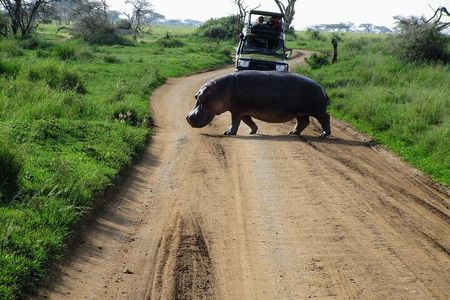 4-Day Tour in Lake Nakuru, Lake Naivash, Masai Mara from Nairobi
