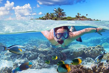 Nassau: Private Island & Snorkeling, Turtles, Drinks & BBQ 