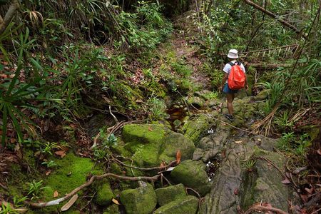 Khao Sok Rainforest | Hiking & Bamboo Rafting