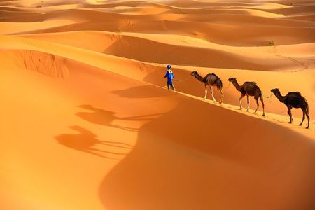 trip of your dreams in 3 days and 2 nights in the desert