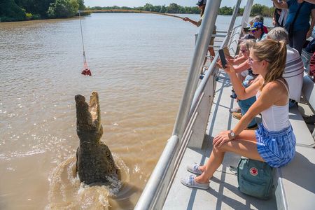 1 Hour Jumping Crocodile Cruise on the Adelaide River