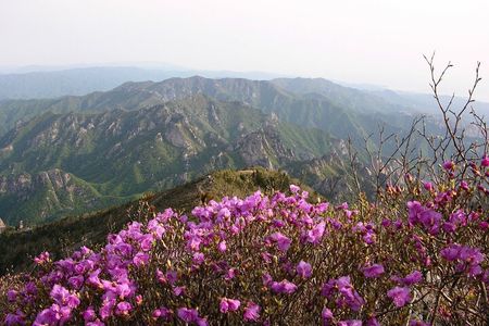 2 days Private Tour : Mt Seorak & Naksansa Temple & Nami Island 'from Seoul' 