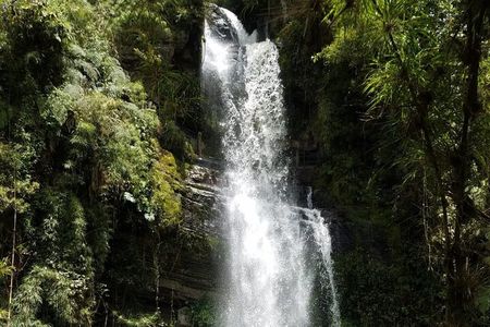 Full-Day Private Tour to La Chorrera Waterfall and El Chiflón