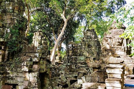 Banteay Chhmar Temple & Silk Farm Private Day Trip from Siem Reap