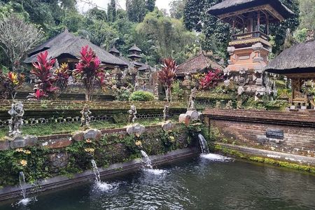 Ubud Private Tour : Best Of Ubud and Guided Tour