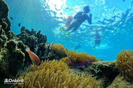 [Phu Quoc] Private Speedboat & Short-Snorkel: South Hidden Reefs