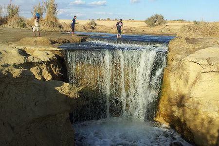 El-Fayoum Oasis & Wadi Al-Rayan Day Tour from Cairo