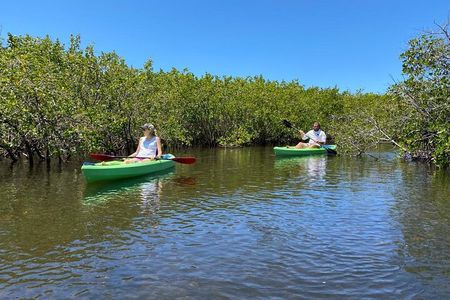2 Hour Tandem Kayak Tour (Price for 2 People)