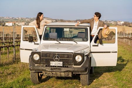 3-Hours of Activities with Safari Grand Tour and Tasting in Vineyards