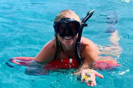 Half Day Luxury Catamaran Turtle Snorkel And Beach
