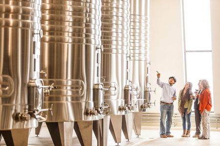 Unveiling Cafayate: Premium Wine Road Adventure