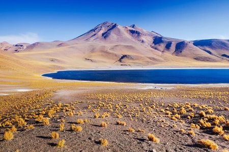 Altiplanic Lagoons and Piedras Rojas