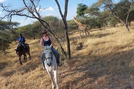 Maun Horse Riding Safari in Private Game Lodge 