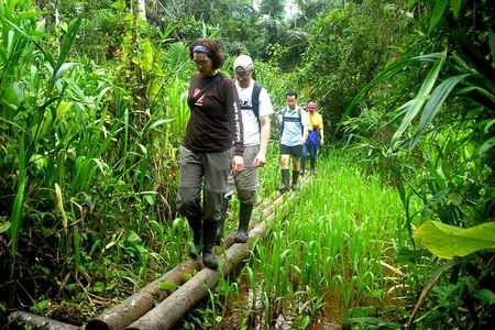 4-Day Private Tour to Manu National Park from Cusco