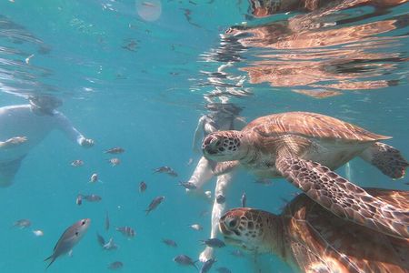 Shasa Catamaran Cruises Limited Numbers 3 Hour Sail and Snorkel