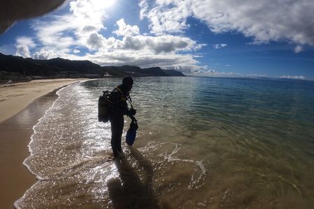 Beginner Scuba Diving Experience in Simonstown.