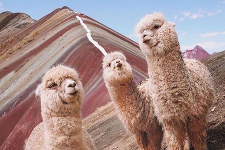 5 days tour to Machupicchu, Sacred Valley and Rainbow Mountain in small group