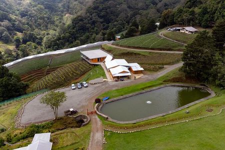 Wine Tour and Tasting