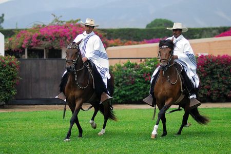 Private Experience Pachacamac, Peruvian Paso Horse Show & Artisan Store Full-Day
