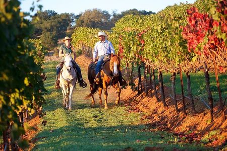 Guided Horseback Experience