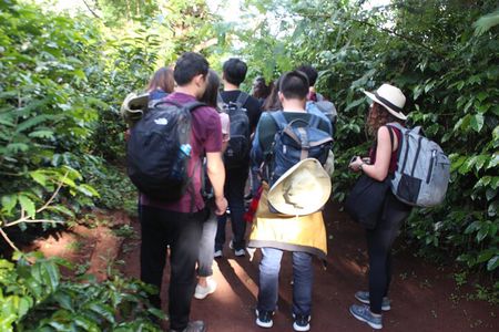 Coffee farm tour, coffee roasting and tasting experience
