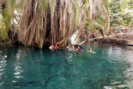 Private Tour to Materuni Waterfalls, coffee tour & Kikuletwa Hot Springs