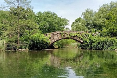 Central Park Guided Walking Tour