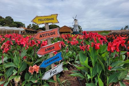 Holambra - The City of Flowers