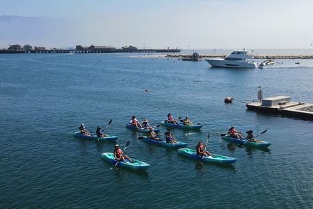 Kayak Tour of Santa Barbara with Experienced Guide