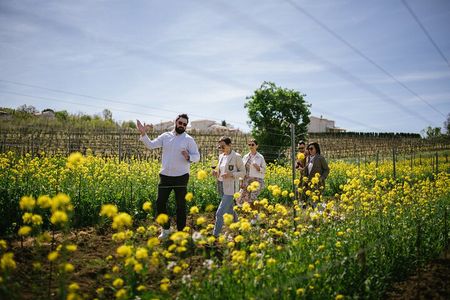 Istria Wine Tour from Rijeka and Opatija