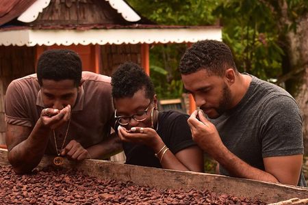 Private Chocolate Making Class 