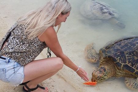 4 Hour: Private Tropical Trio Excursion (with Hotel Pickup)