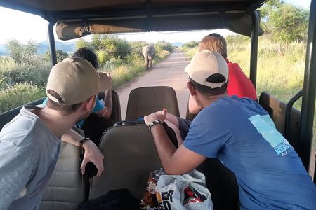 Pilanesberg national park tour-Open safari vehicle