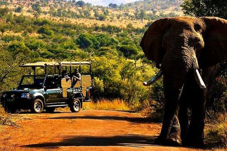 2 Day Pilanesberg national park Guided Tour
