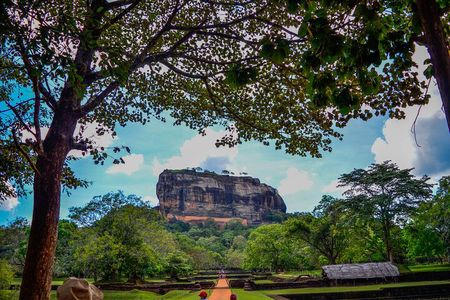 14-Day Private Tour in Sri Lanka