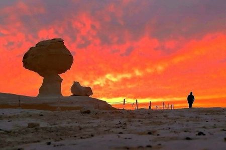 2-Day, 1-Night Camping Tour in White Desert with Cairo Pick Up